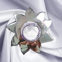Nipple Shields