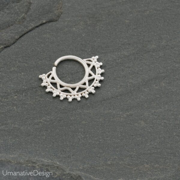 Stylish Fin Septum Nose Ring -